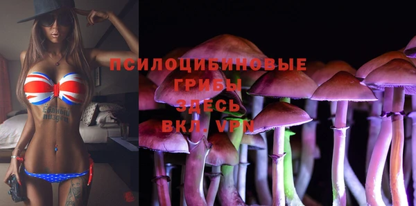 mdpv Абдулино