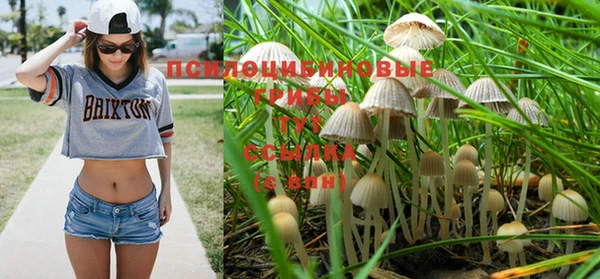 mdpv Абдулино