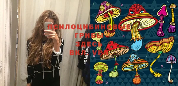 эйфоретик Абинск