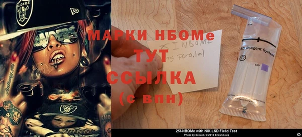 соль ск Рославль