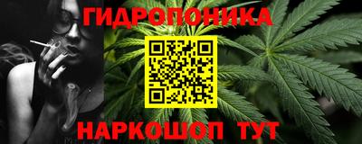 spice Рязань
