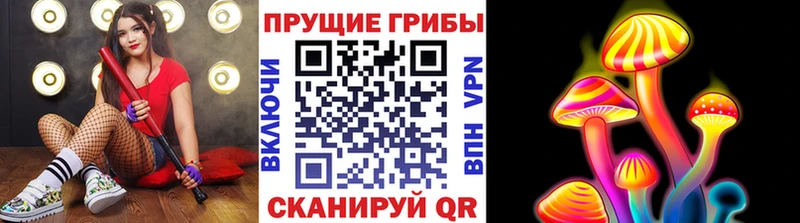 Псилоцибиновые грибы Psilocybine cubensis  Аксай 